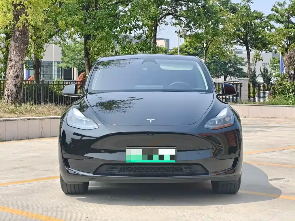 Tesla Model Y — фото 10