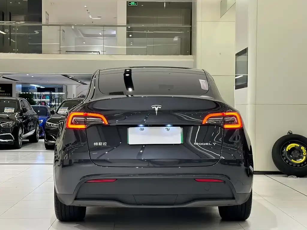 Tesla Model Y — фото 9