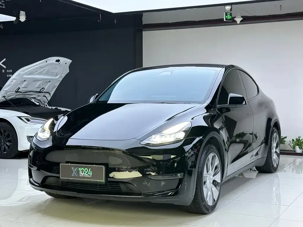 Tesla Model Y 2021 из CN, фото 1
