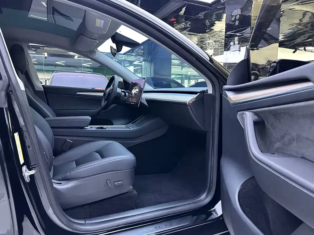 Tesla Model Y 2021 из CN, фото 6