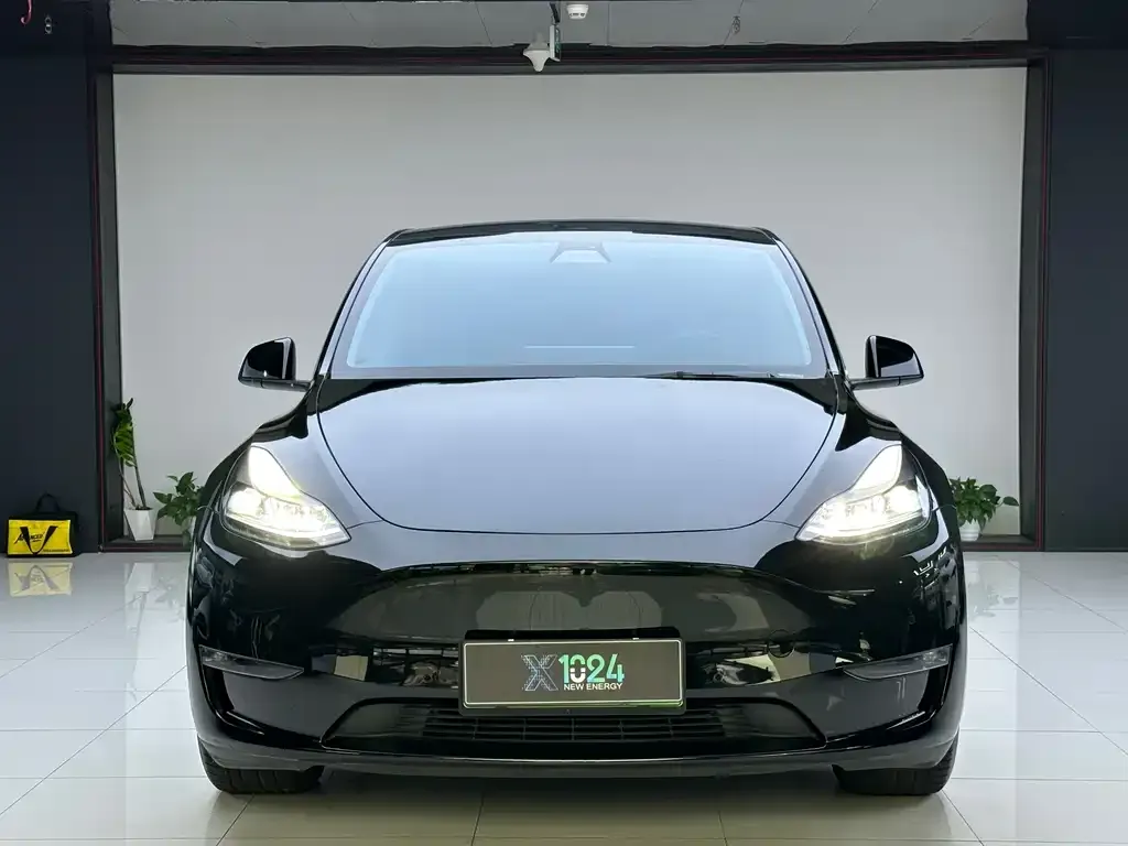 Tesla Model Y 2021 из CN, фото 2