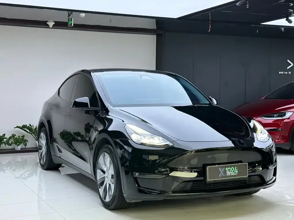 Tesla Model Y 2021 из CN, фото 5