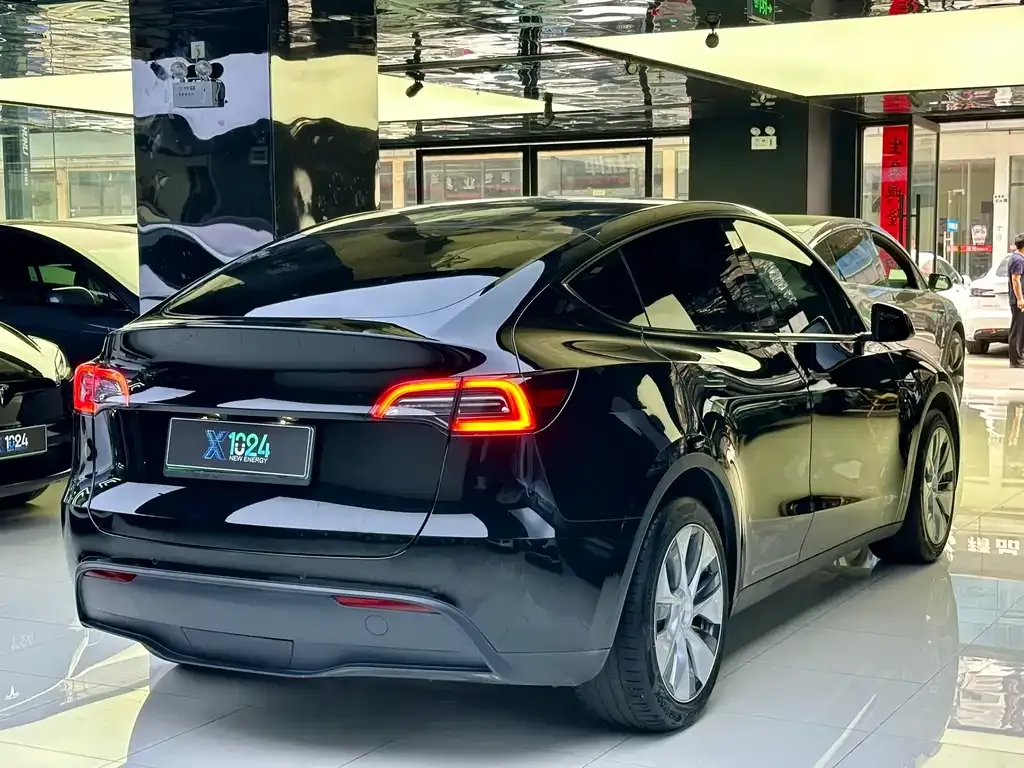 Tesla Model Y 2021 из CN, фото 7