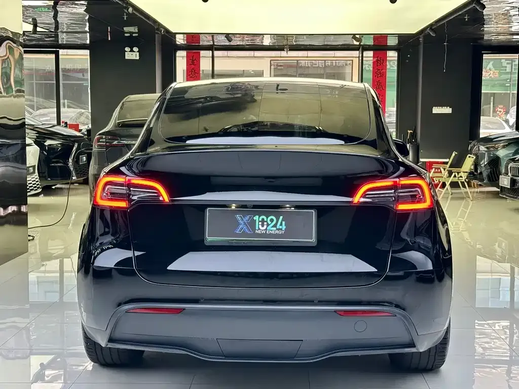 Tesla Model Y 2021 из CN, фото 9