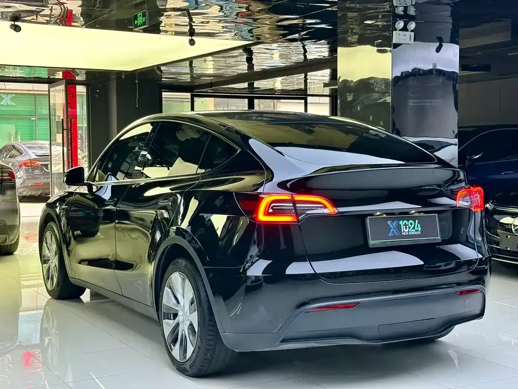 Tesla Model Y 2021 из CN, фото 8
