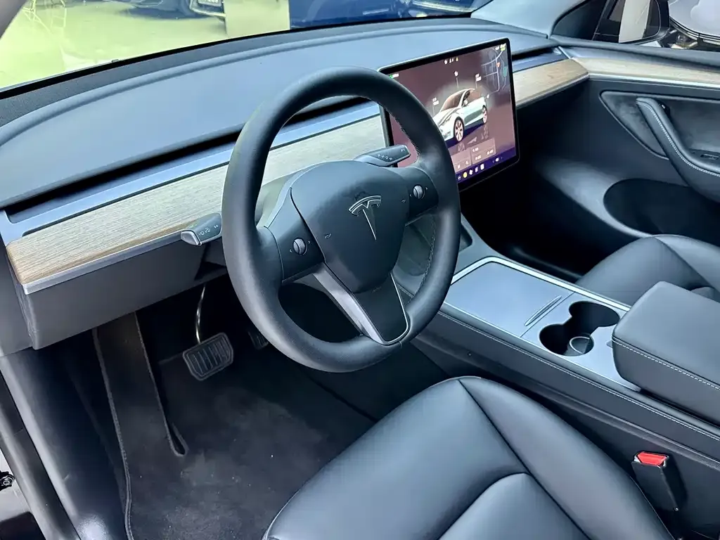 Tesla Model Y 2021 из CN, фото 4