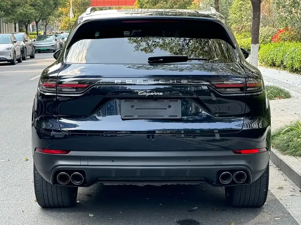 Porsche Cayenne — фото 10
