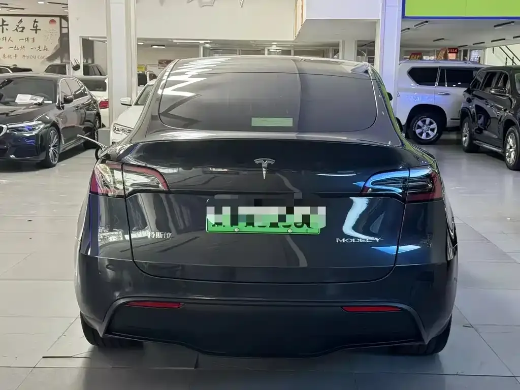 Tesla Model Y 2024 из CN, фото 9