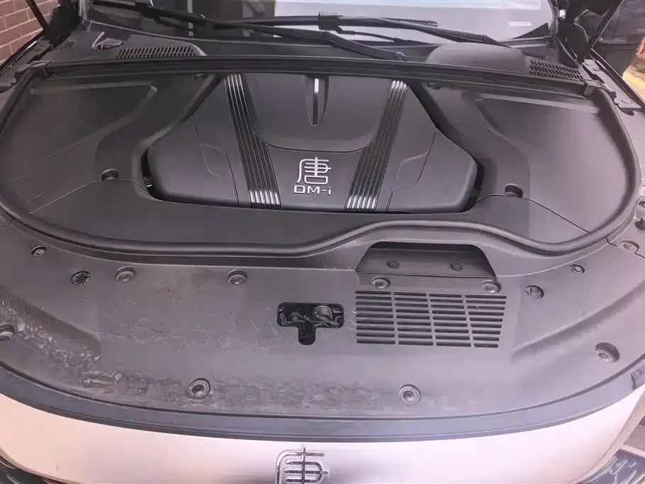 BYD Tang New Energy 2025 из CN, фото 4