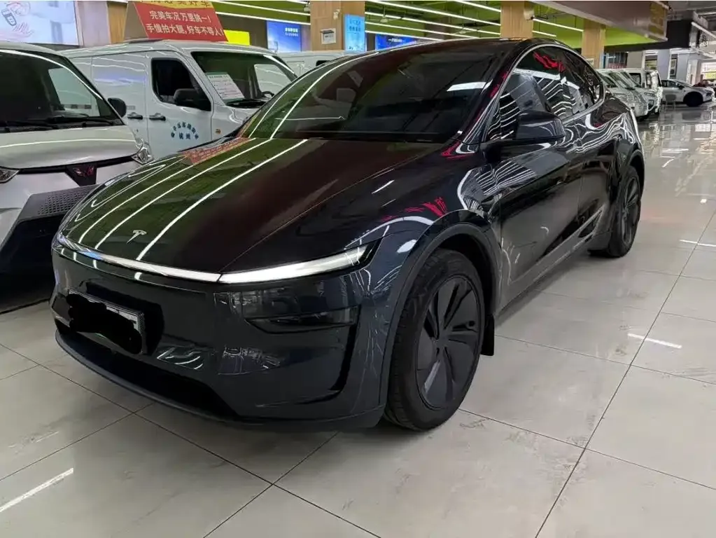 Tesla Model Y 2025 из CN, фото 1