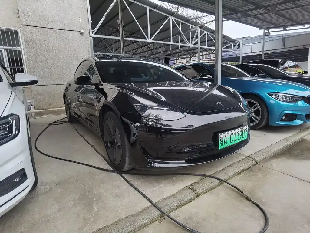 Tesla Model 3 2021 из CN, фото 8