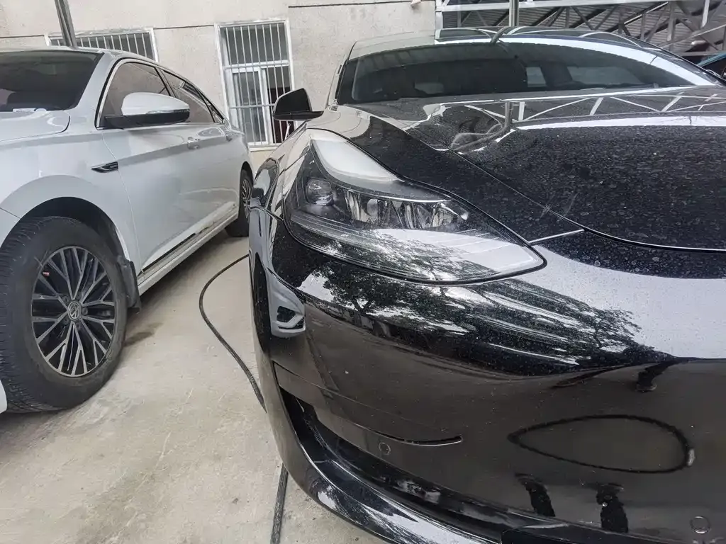 Tesla Model 3 2021 из CN, фото 2