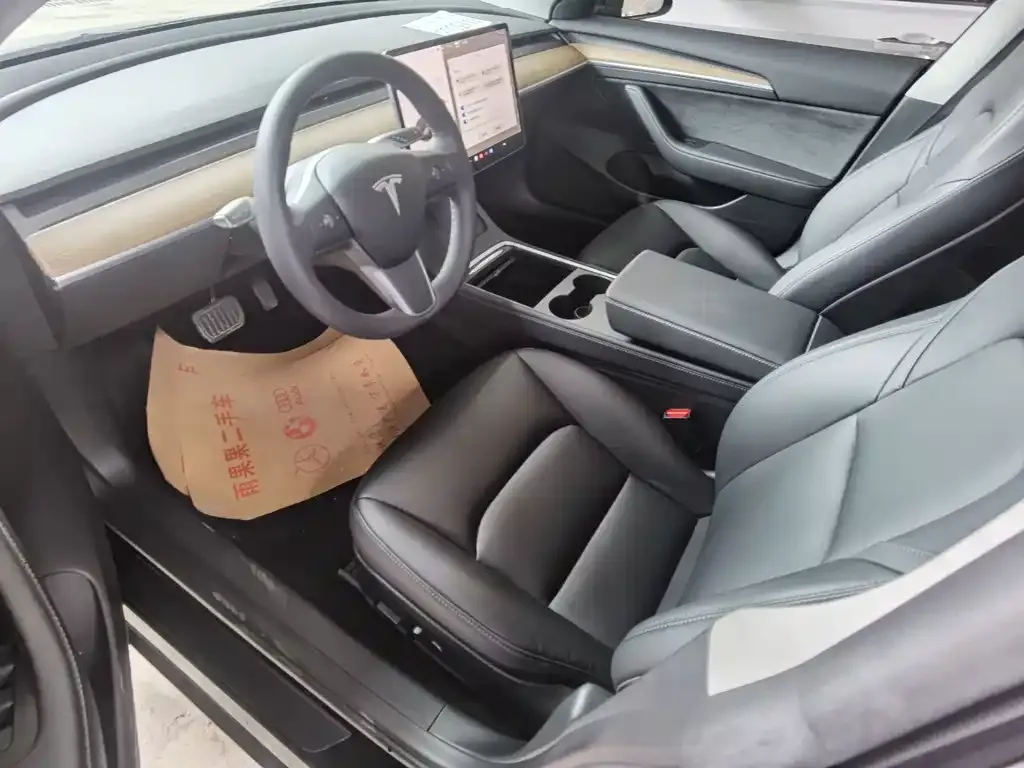 Tesla Model 3 2021 из CN, фото 7