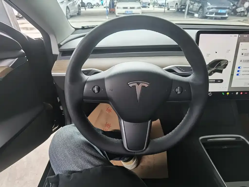 Tesla Model 3 2021 из CN, фото 3
