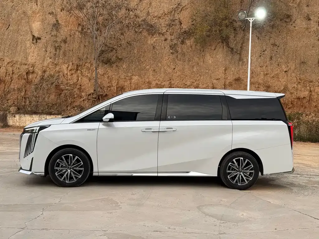 GAC Motor Trumpchi M8 2024 из CN, фото 8