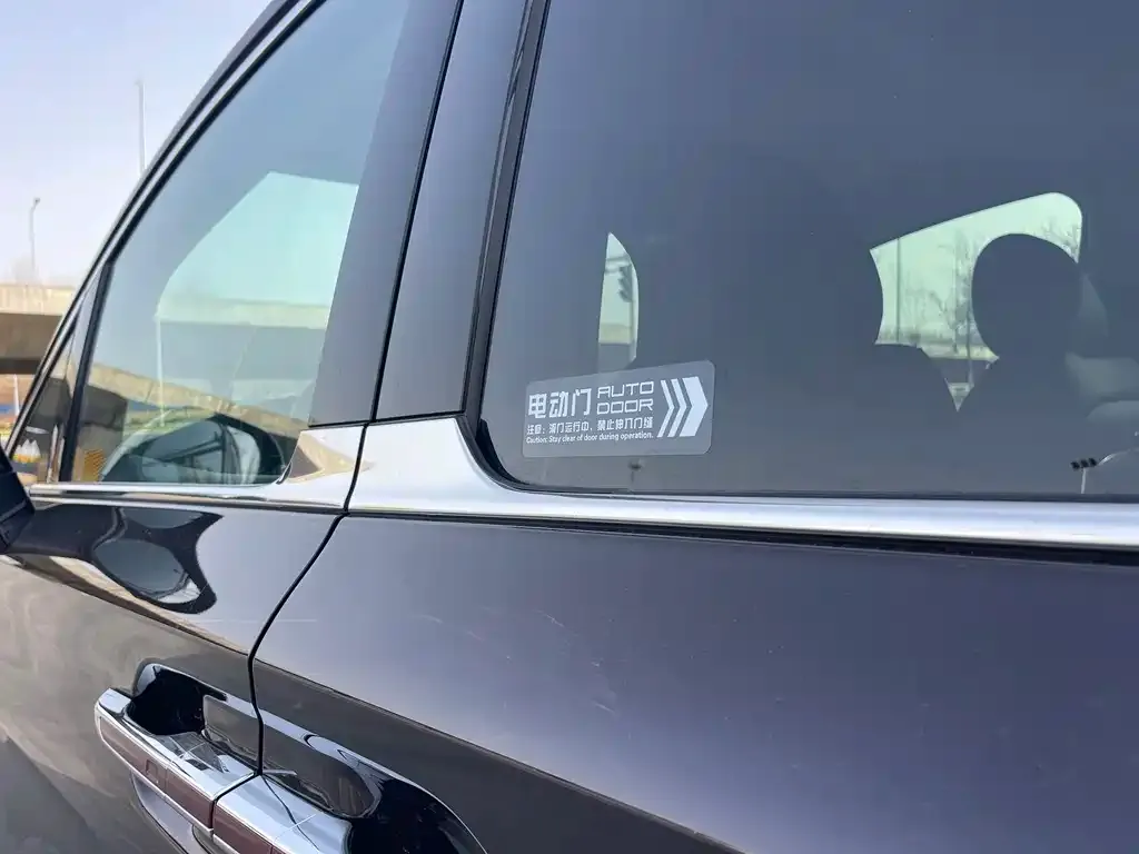 Hongqi HQ9 PHEV 2024 из CN, фото 3