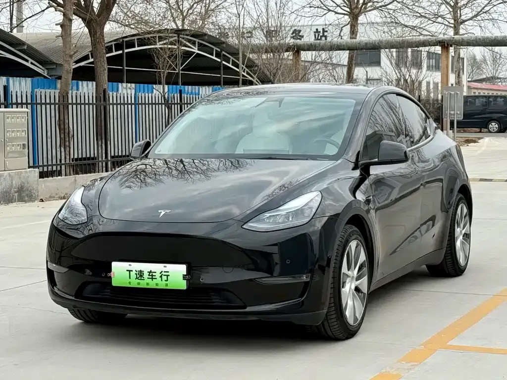Tesla Model Y 2021 из CN, фото 1