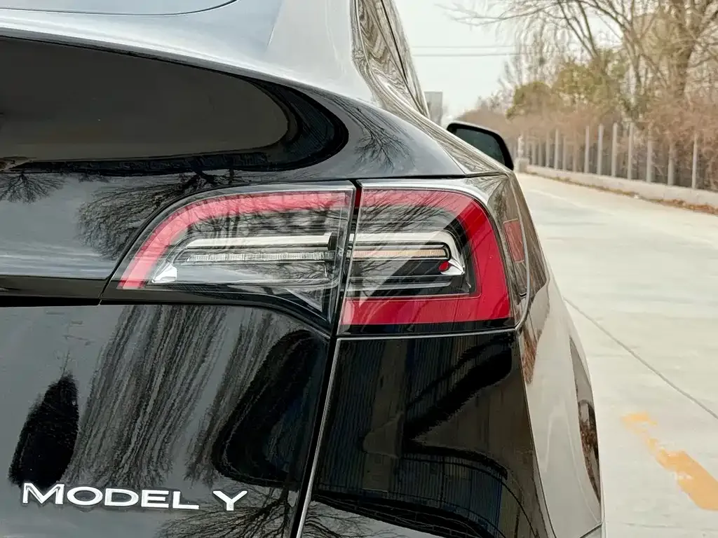 Tesla Model Y 2021 из CN, фото 5
