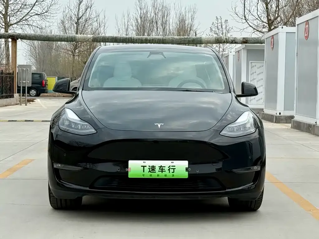 Tesla Model Y 2021 из CN, фото 4
