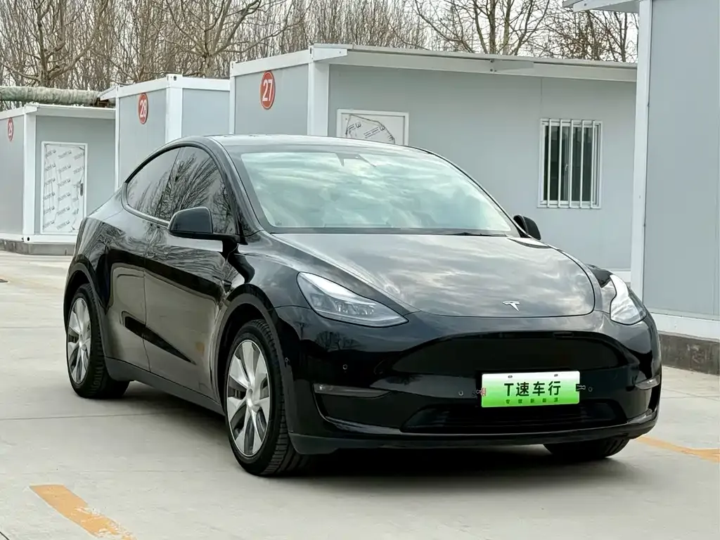 Tesla Model Y 2021 из CN, фото 2