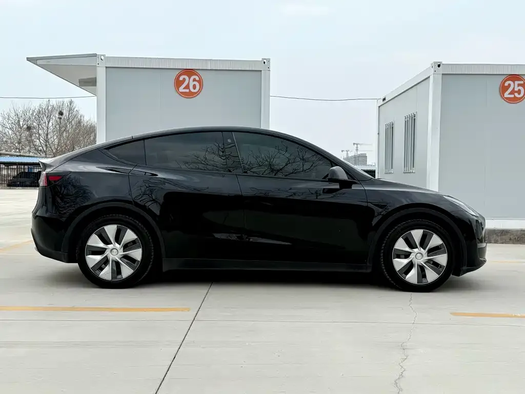 Tesla Model Y 2021 из CN, фото 9