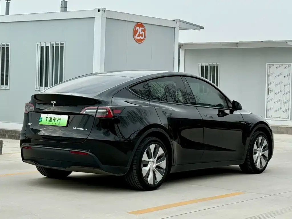Tesla Model Y 2021 из CN, фото 3