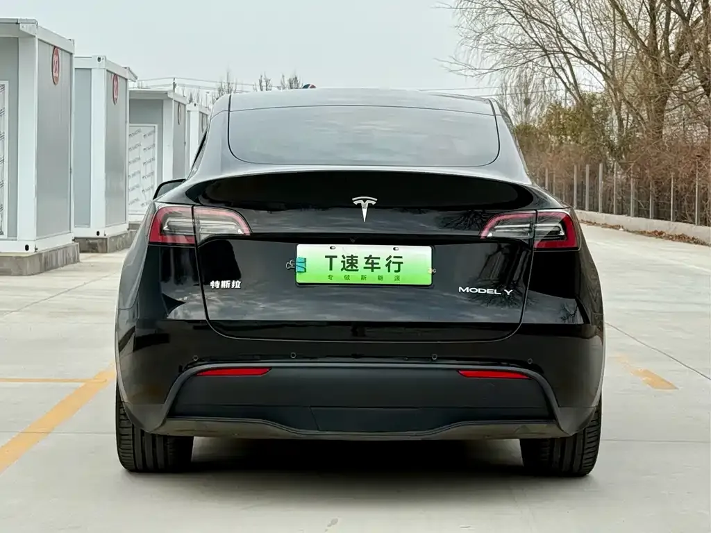 Tesla Model Y 2021 из CN, фото 6