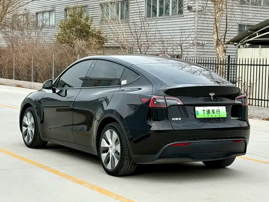 Tesla Model Y 2021 из CN, фото 10