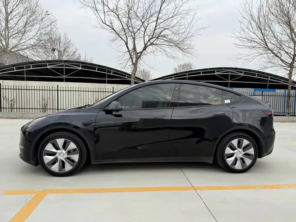 Tesla Model Y 2021 из CN, фото 7