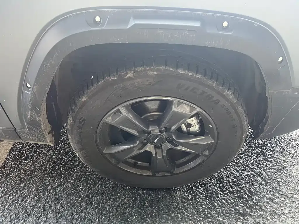 Haval Raptor 2025 из CN, фото 10