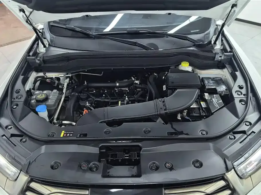 Haval H6 2023 из CN, фото 10