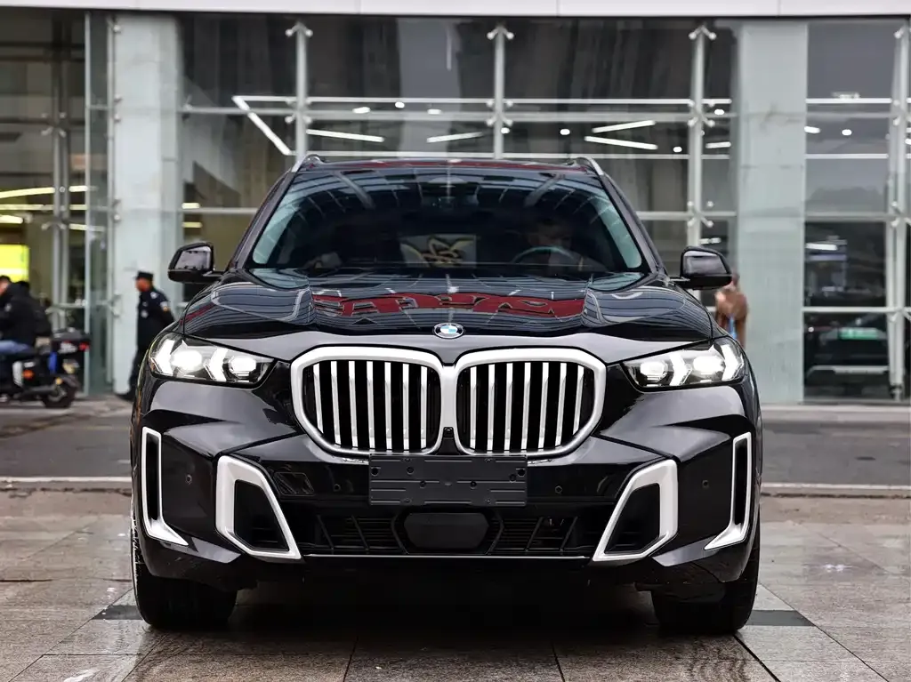 BMW X5 2024 из CN, фото 3