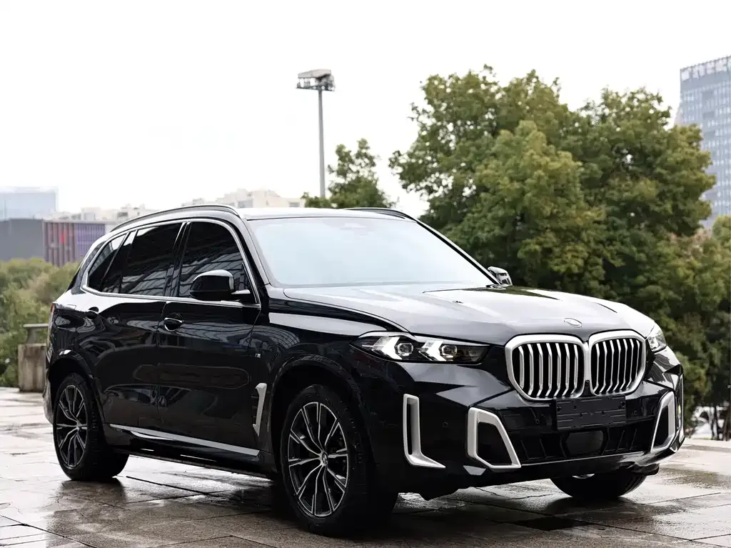BMW X5 2024 из CN, фото 4