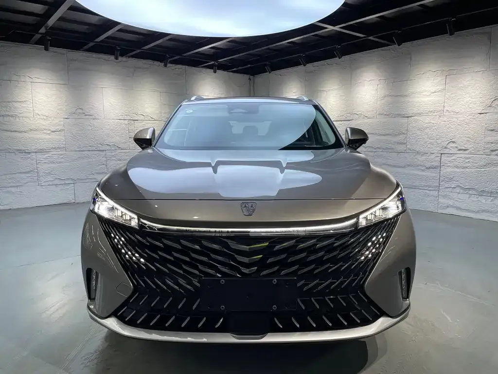 Roewe RX5 New Energy 2023 из CN, фото 8