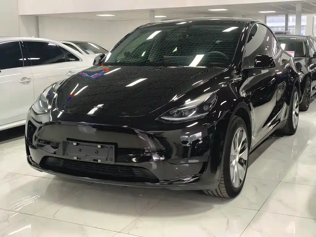 Tesla Model Y — фото 1