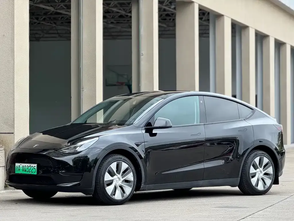 Tesla Model Y — фото 1