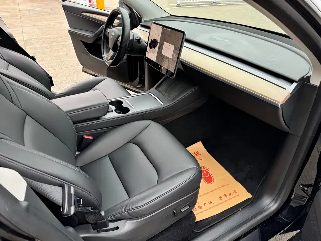 Tesla Model Y — фото 2