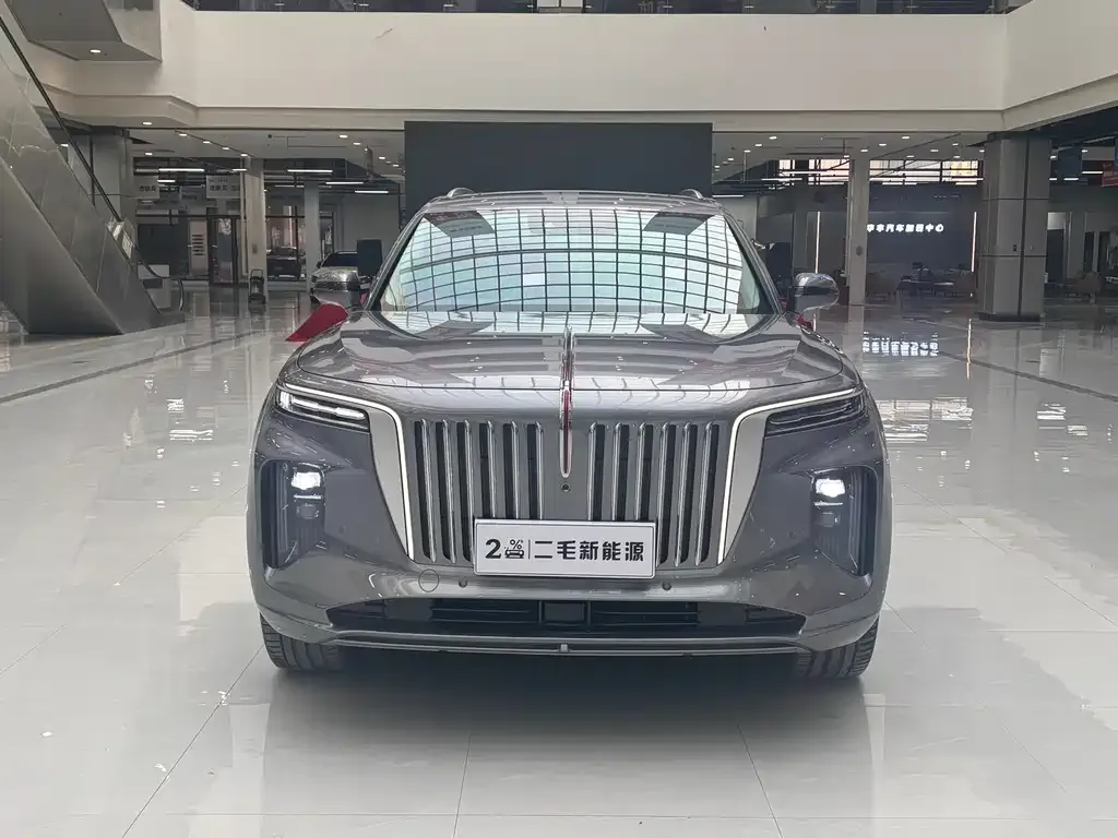Hongqi E-HS9 — фото 2