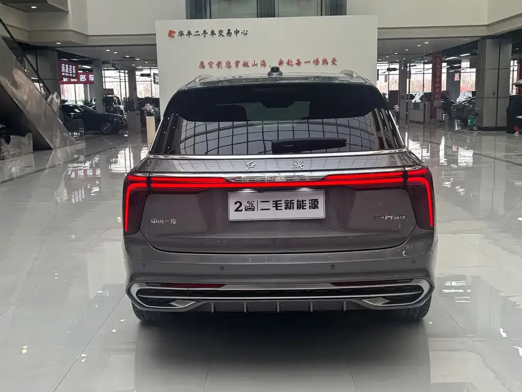 Hongqi E-HS9 — фото 10