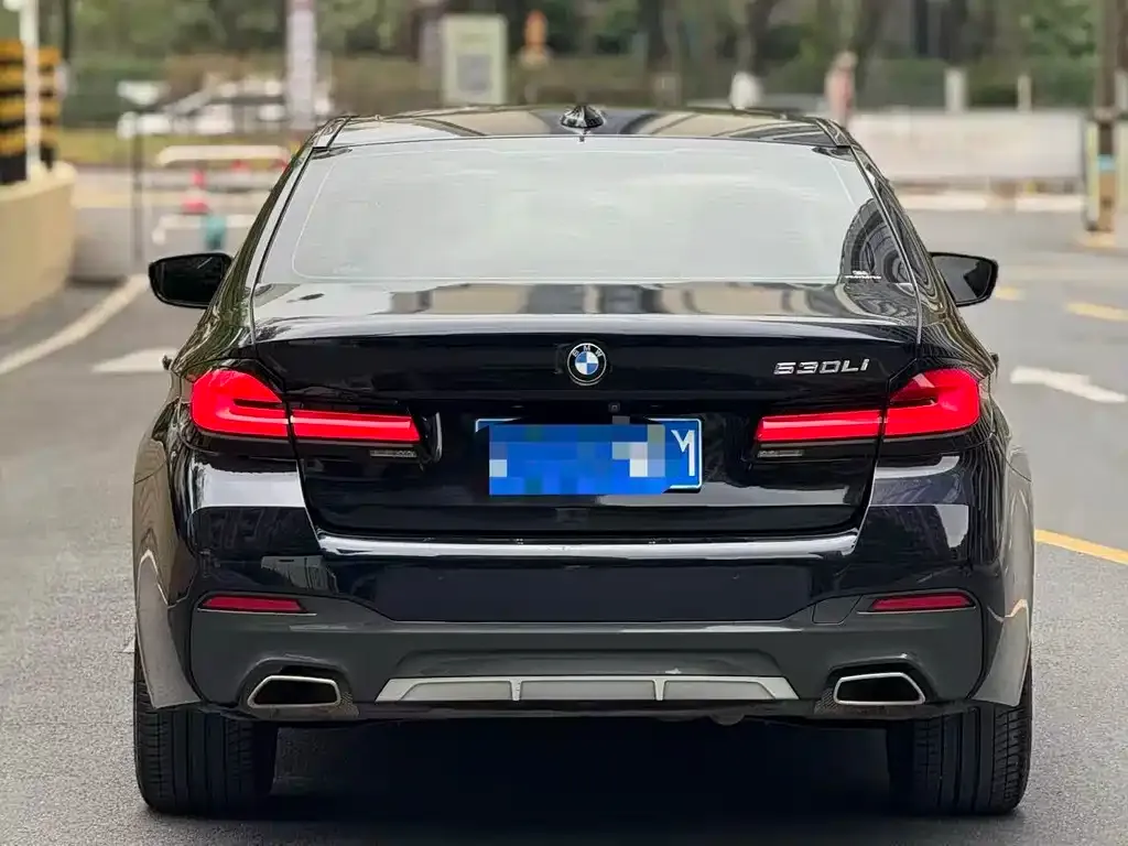 BMW 5 Series 2021 из CN, фото 4