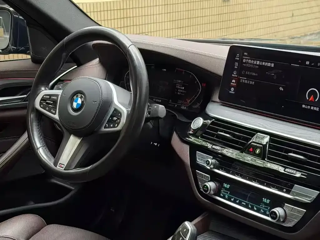 BMW 5 Series 2021 из CN, фото 8