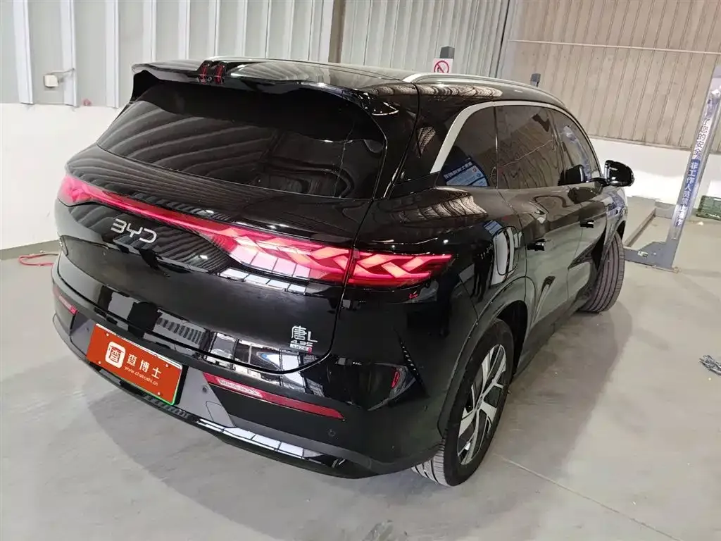 BYD Tang L 2025 из CN, фото 6