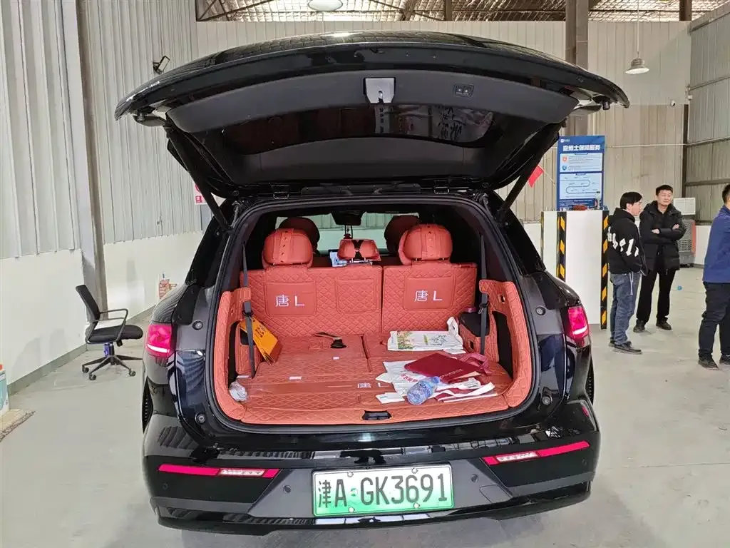 BYD Tang L 2025 из CN, фото 7