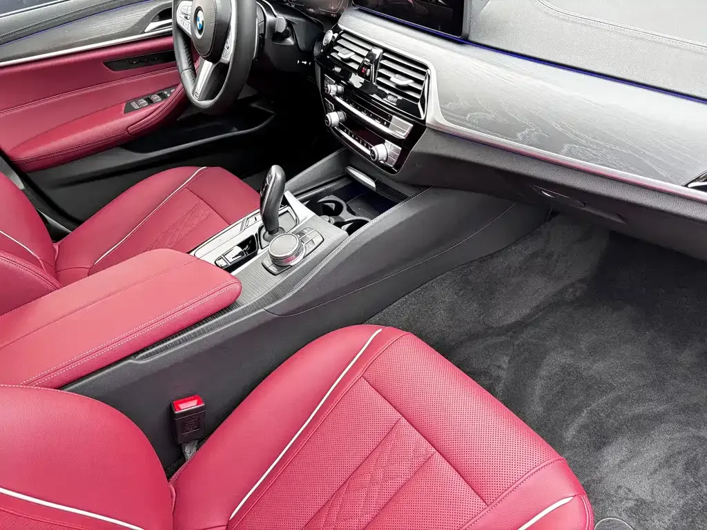 BMW 5 Series 2022 из CN, фото 10
