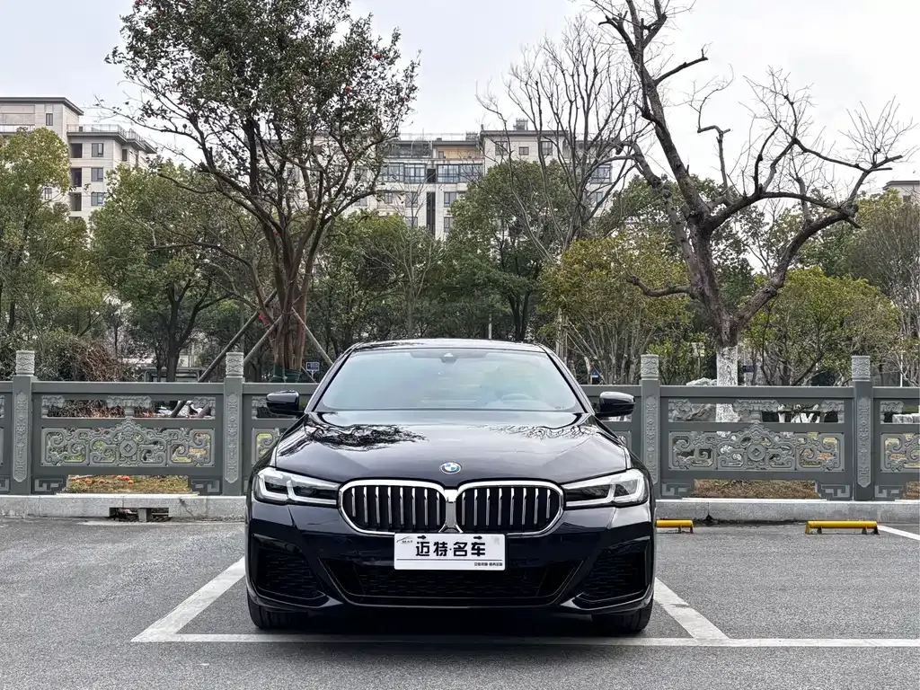 BMW 5 Series 2022 из CN, фото 8