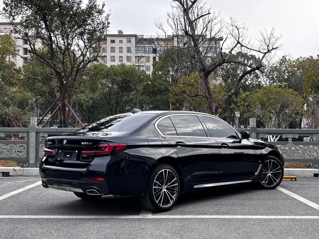 BMW 5 Series 2022 из CN, фото 5