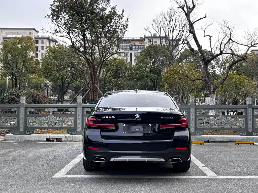 BMW 5 Series 2022 из CN, фото 6