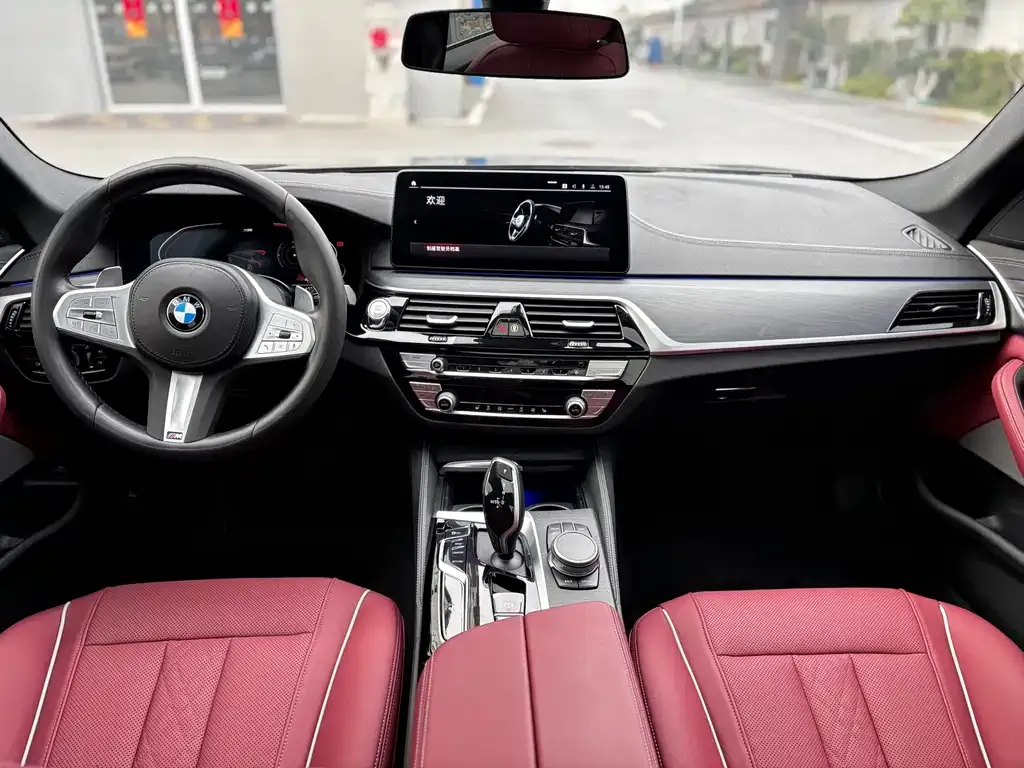 BMW 5 Series 2022 из CN, фото 2
