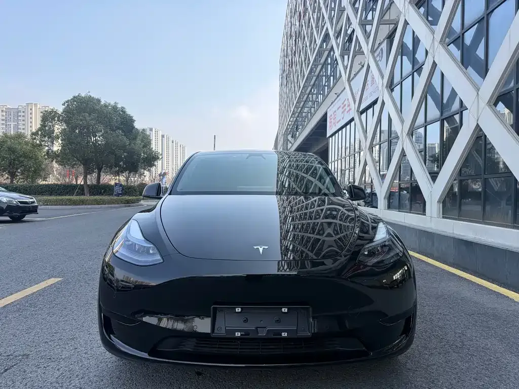 Tesla Model Y 2023 из CN, фото 8