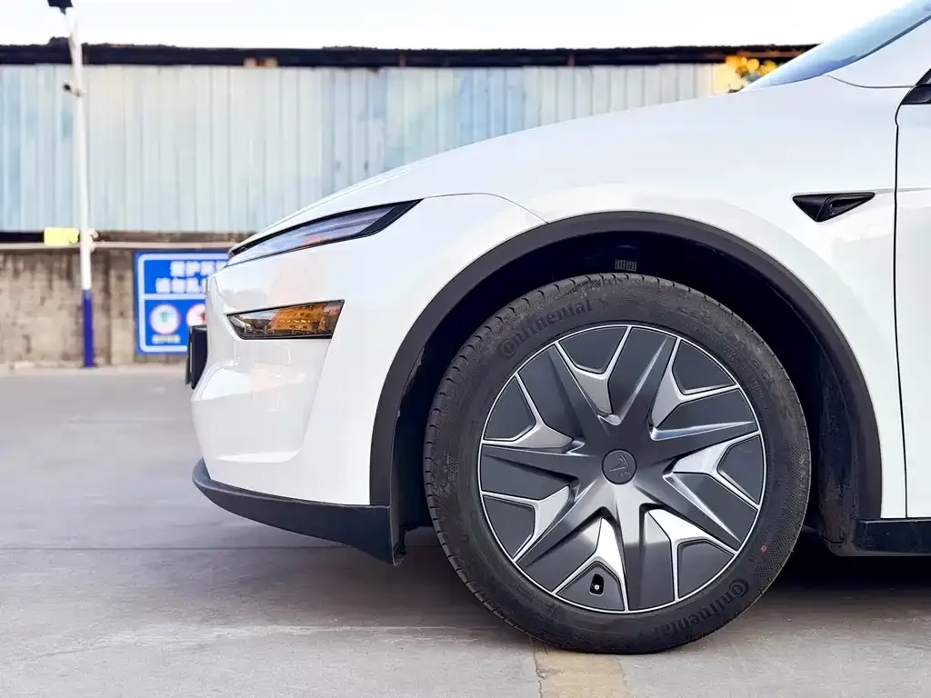 Tesla Model Y L 2025 из CN, фото 6